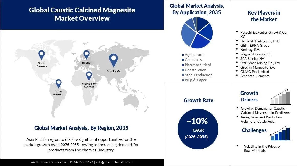 Caustic-Calcined-Magnesite-Market-scope