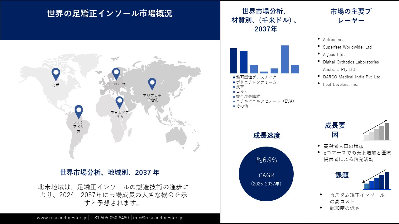足矯正インソール市場概要