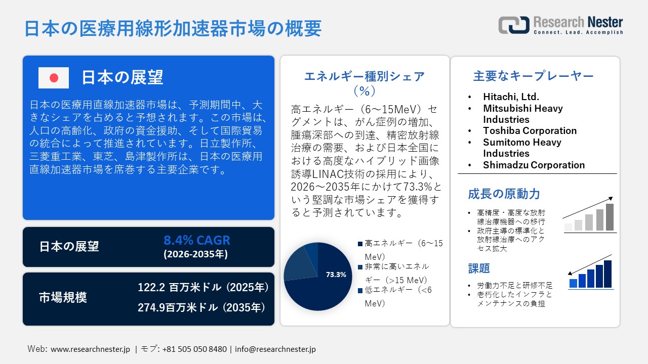 Case Erectors Market