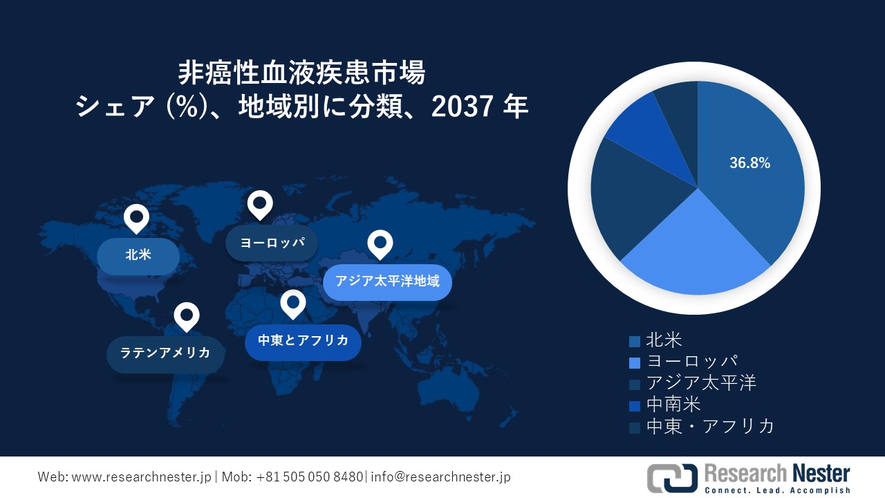 非癌性血液疾患市場地域概要