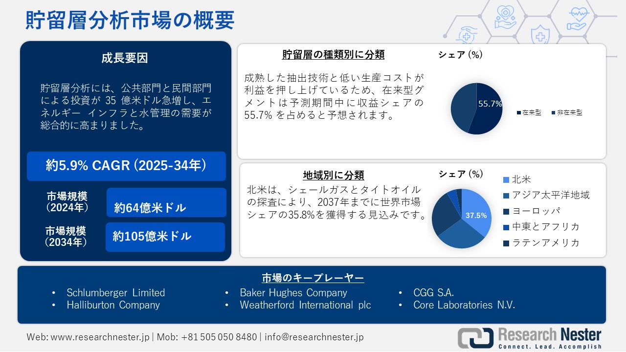 貯留層分析市場概要