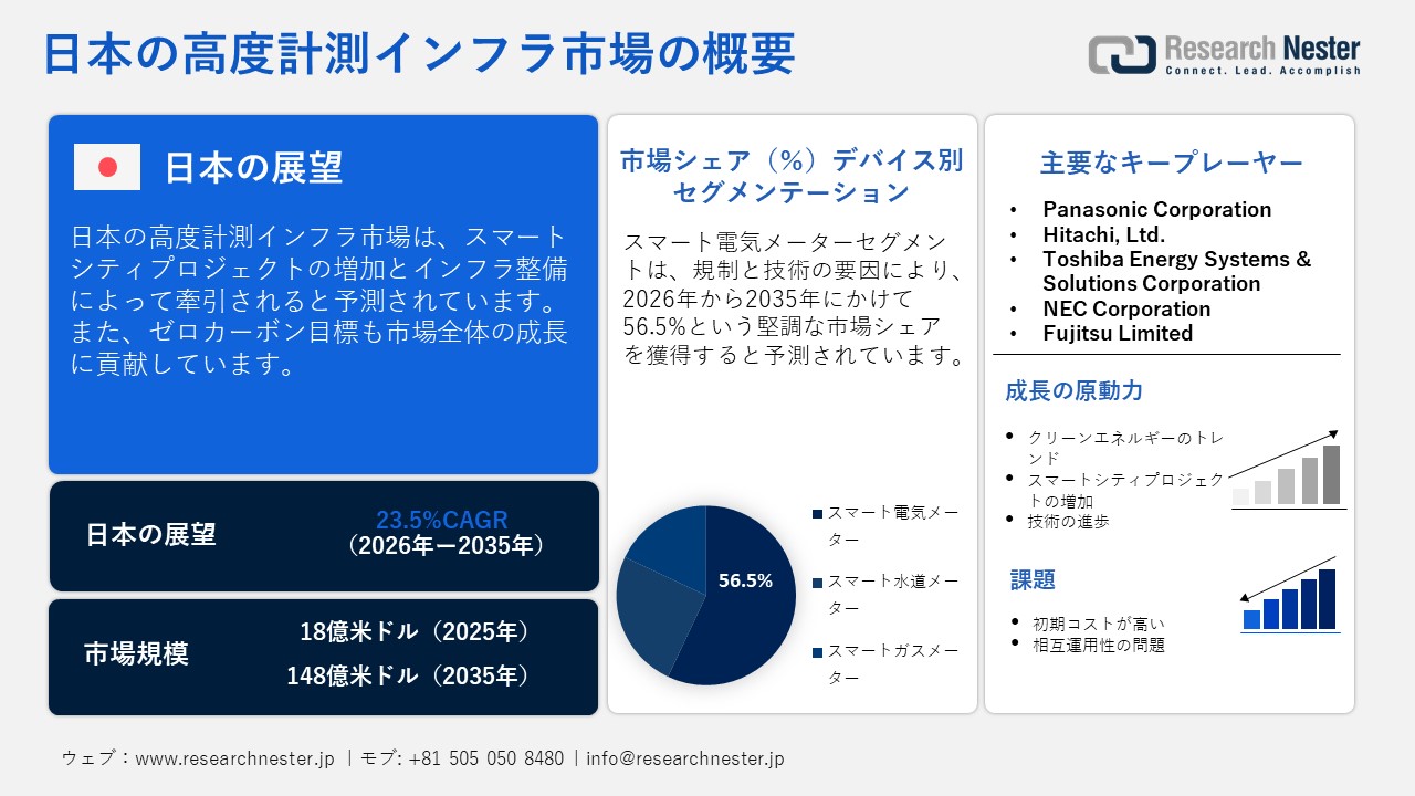 日本の高度計測インフラ市場概要