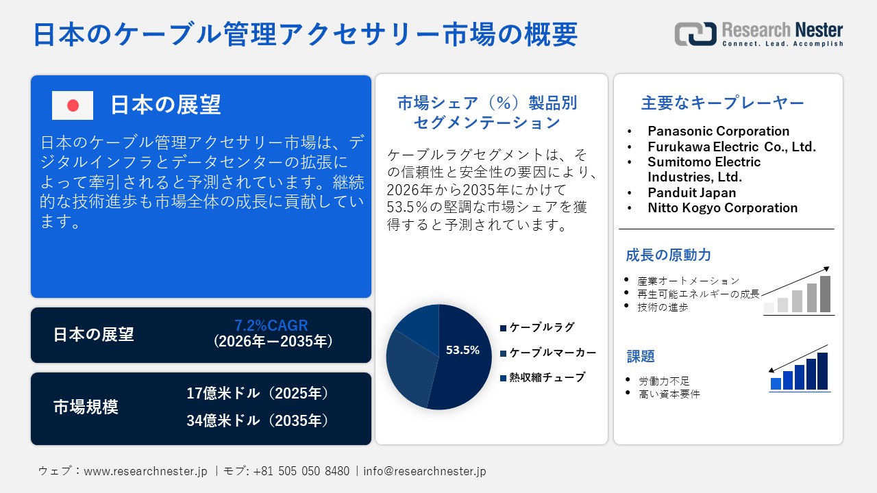 Case Erectors Market