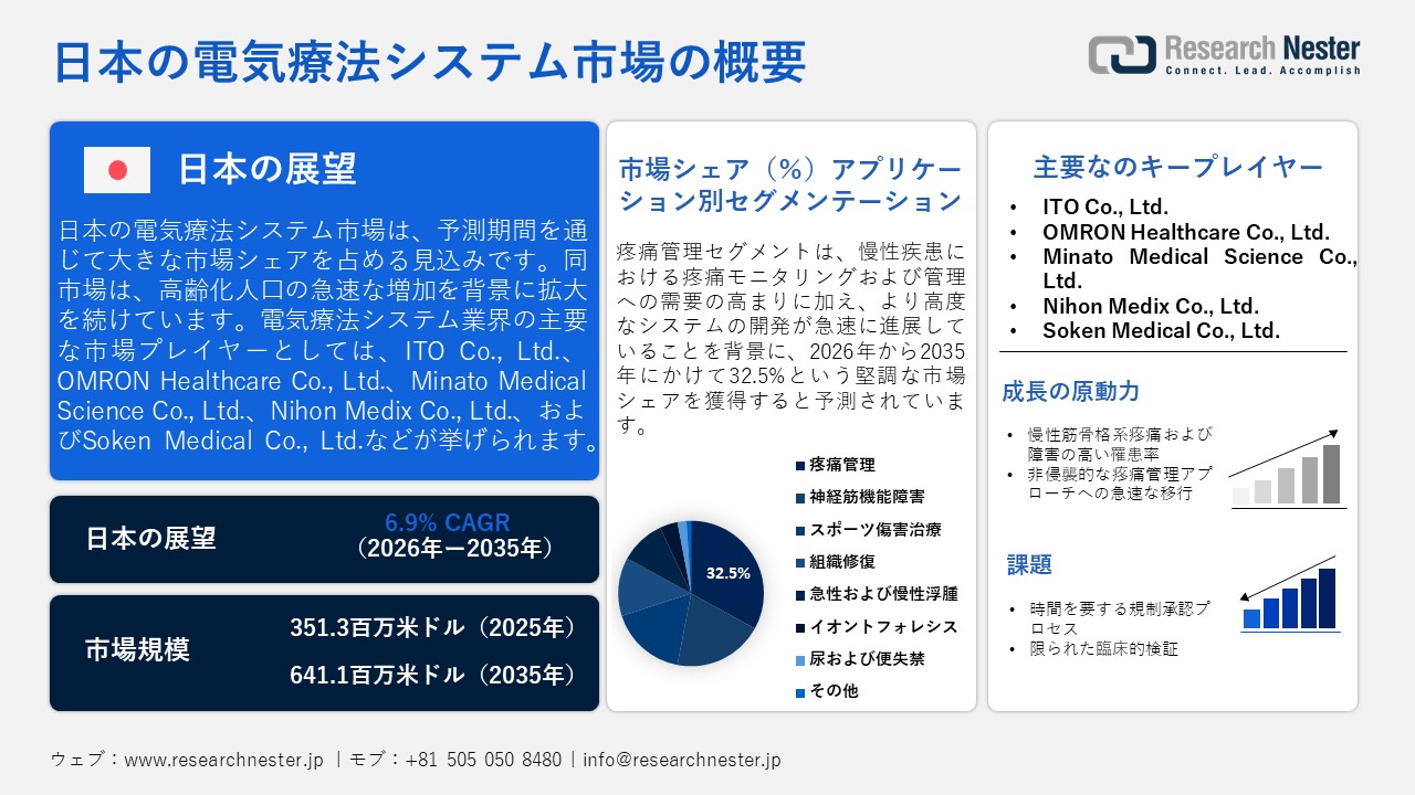 電気療法システム市場概要