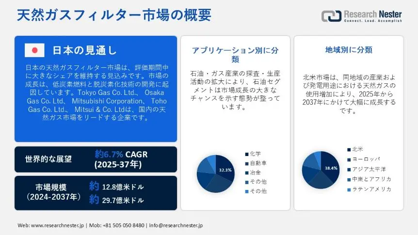 天然ガスフィルター市場概要