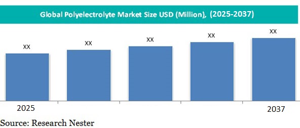 高分子電解質市場概要