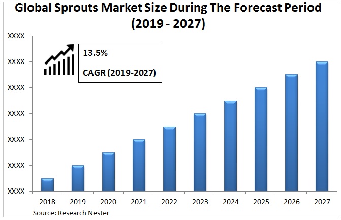 Sprout Market Survey